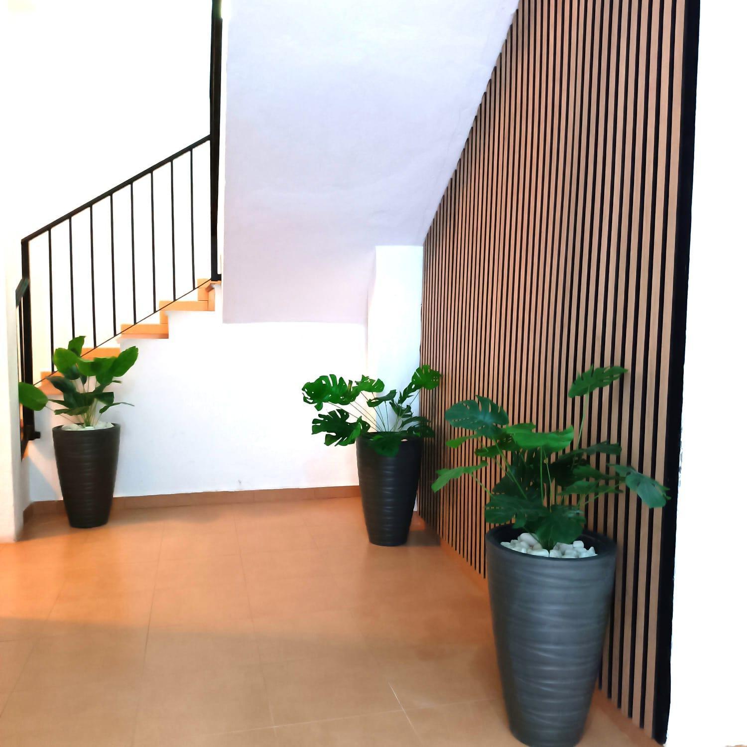 Apartamentos Calle Nueva マラガ エクステリア 写真