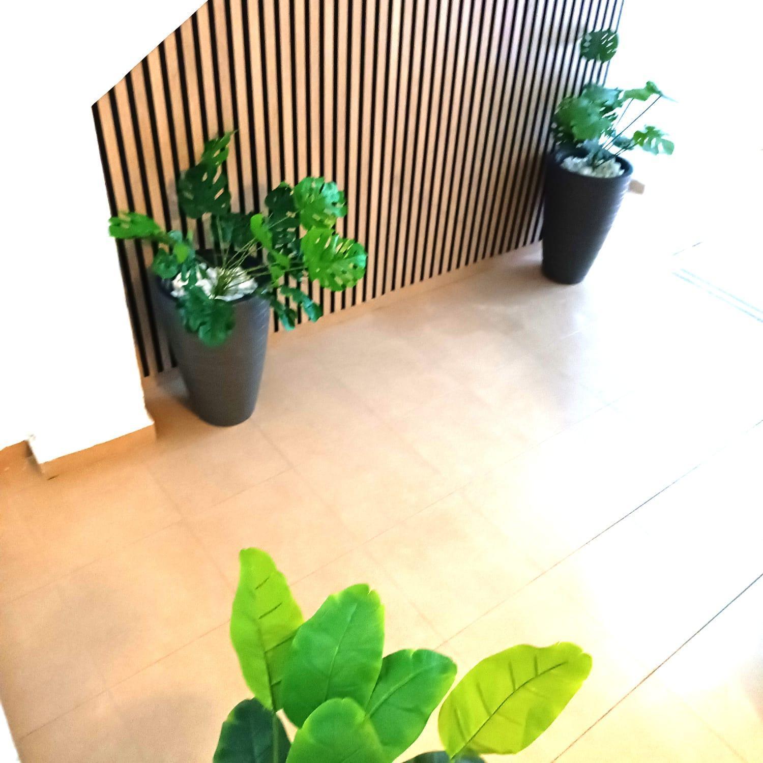 Apartamentos Calle Nueva マラガ エクステリア 写真