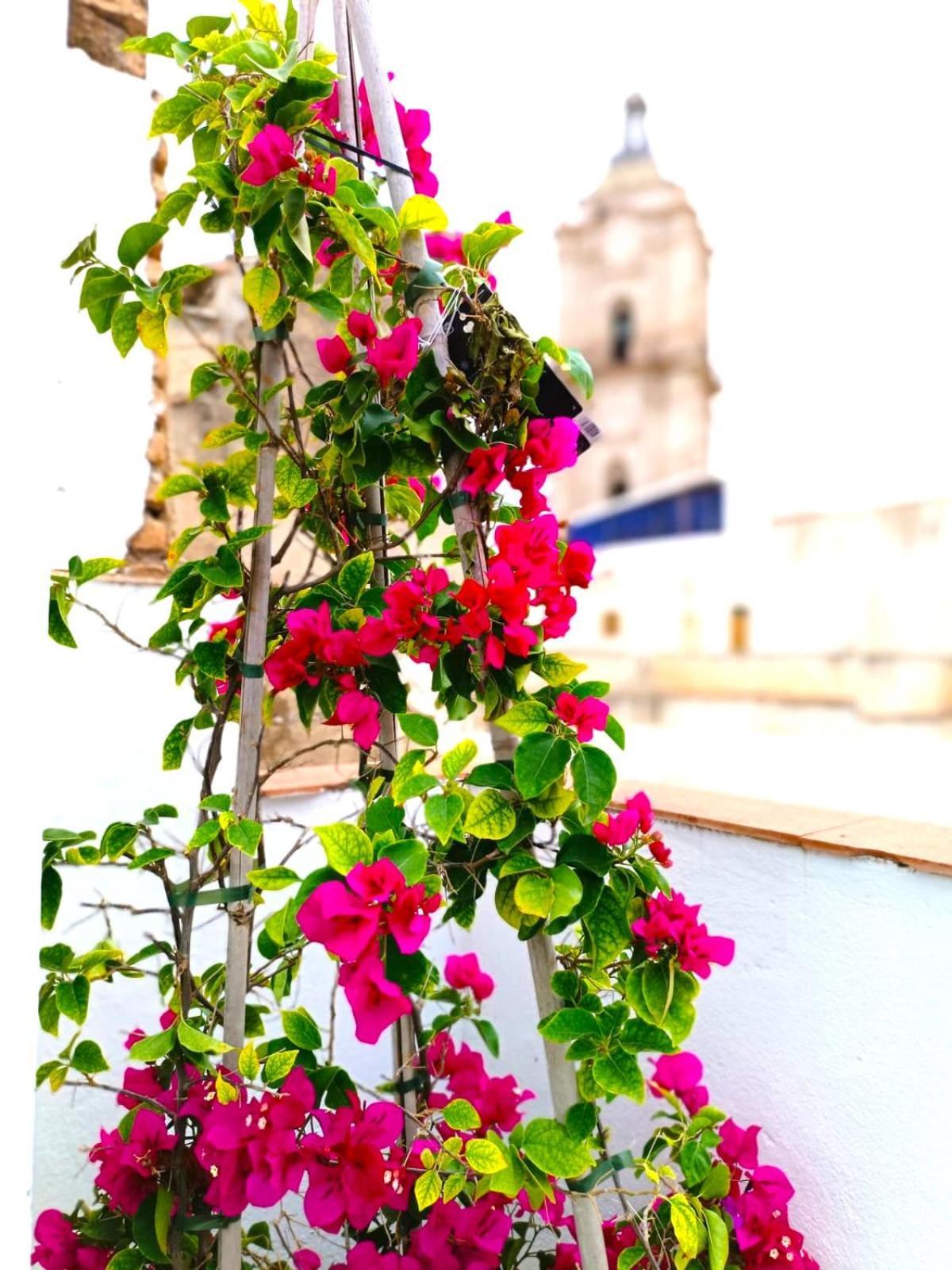 Apartamentos Calle Nueva マラガ エクステリア 写真